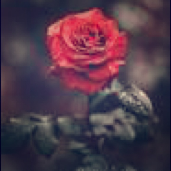 Meet your Posher, Genevieve - Picture 1 of 2